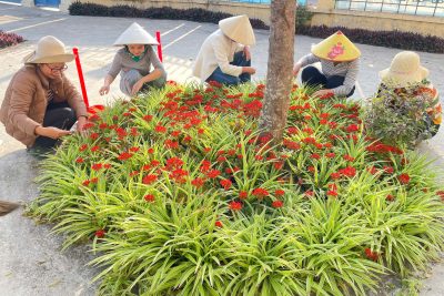 🌿 DỌN DẸP TRƯỜNG XINH – ĐÓN TẾT LUNG LINH 🌿